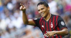 bacca
