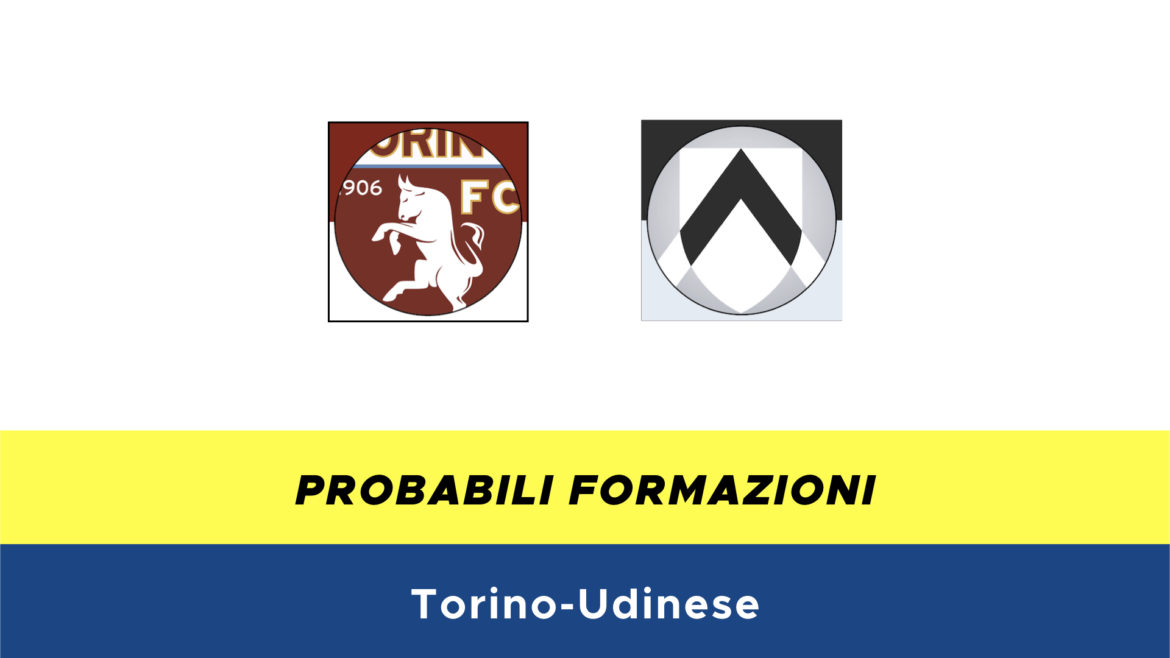 torino-udinese probabili fromazioni