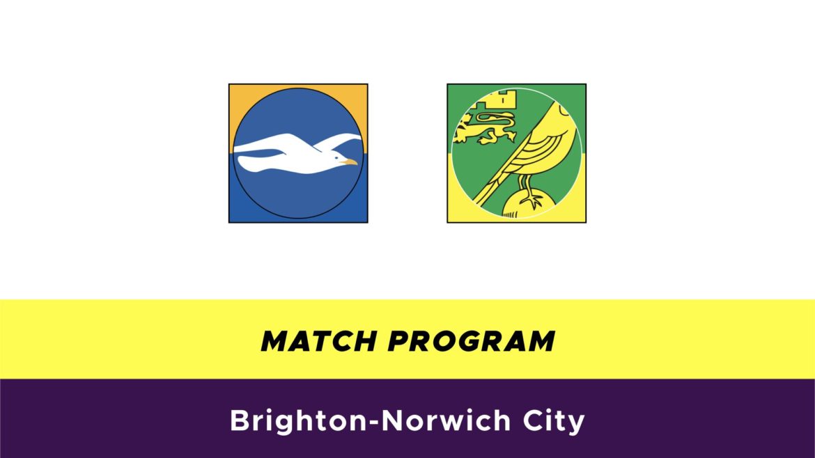 Brighton-Norwich probabili formazioni