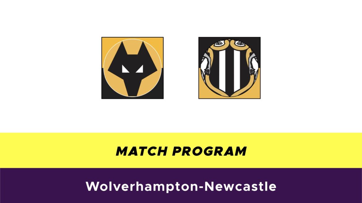 Wolverhampton-Newcastle probabili formazioni