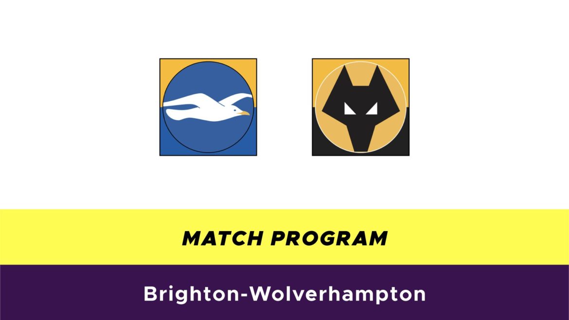Brighton-Wolverhampton probabili formazioni