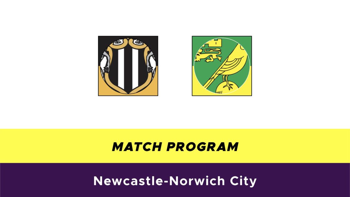 Newcastle-Norwich probabili formazioni