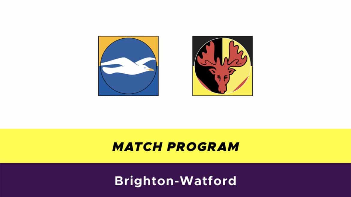 Brighton-Watford probabili formazioni