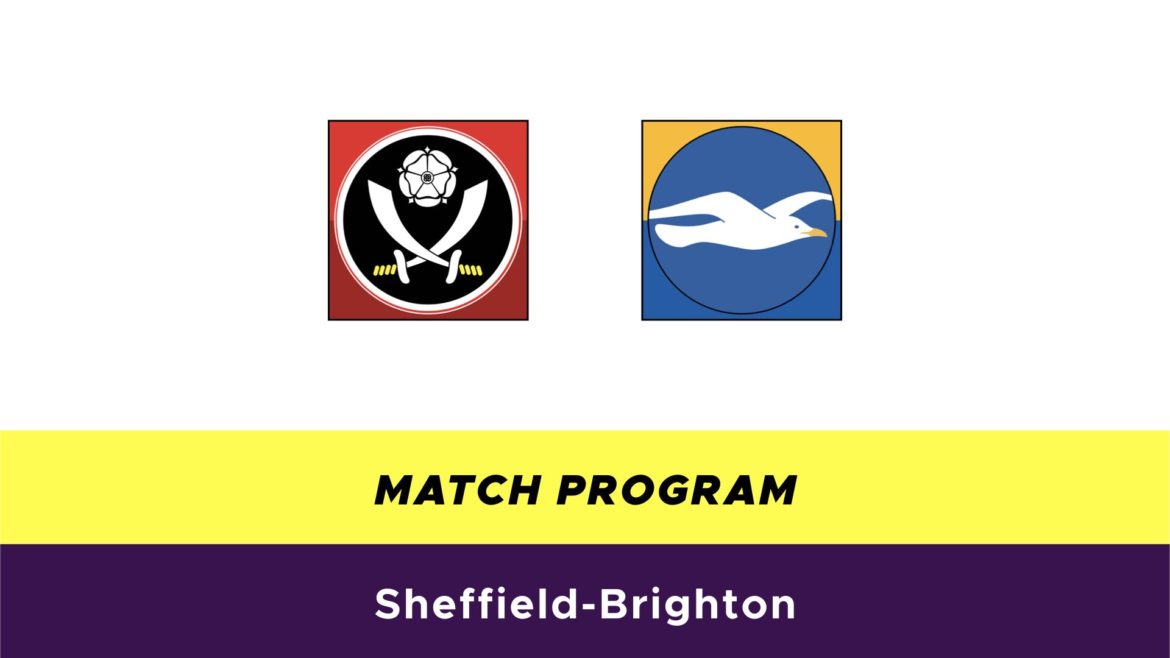Sheffield-Brighton probabili formazioni