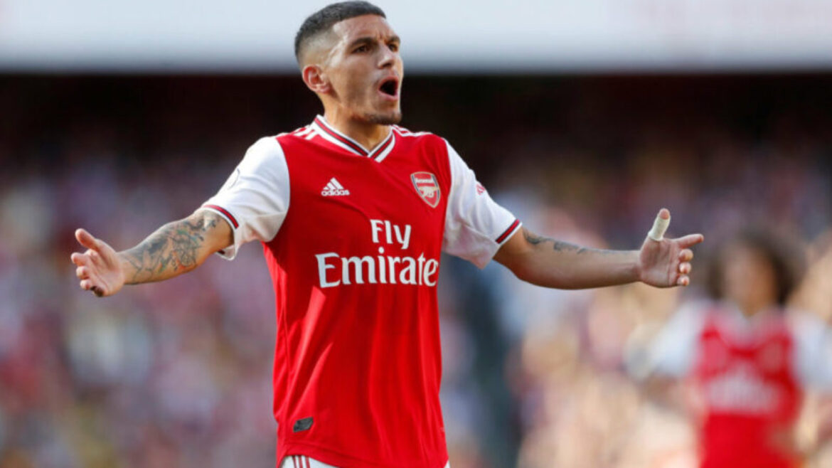 Torreira