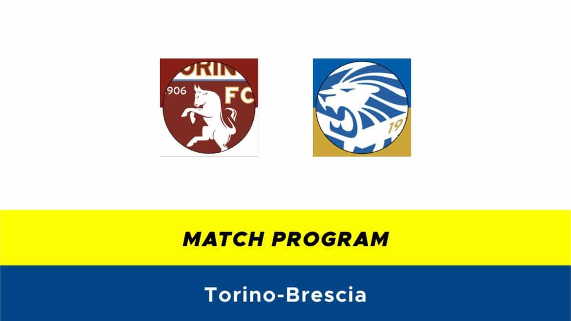 Torino-Brescia probabili formazioni