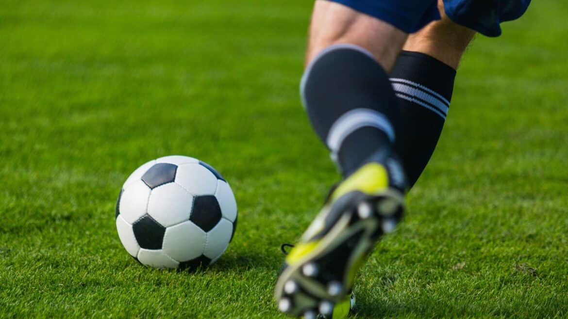 vantaggio rose lunghe