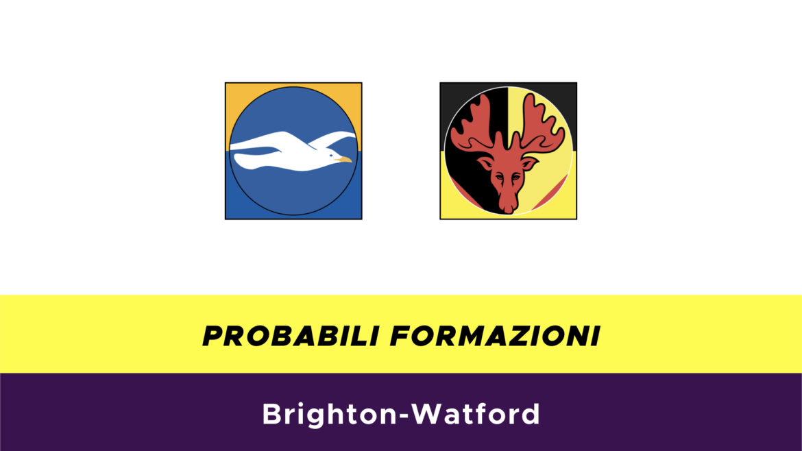 Brighton-Watford probabili formazioni